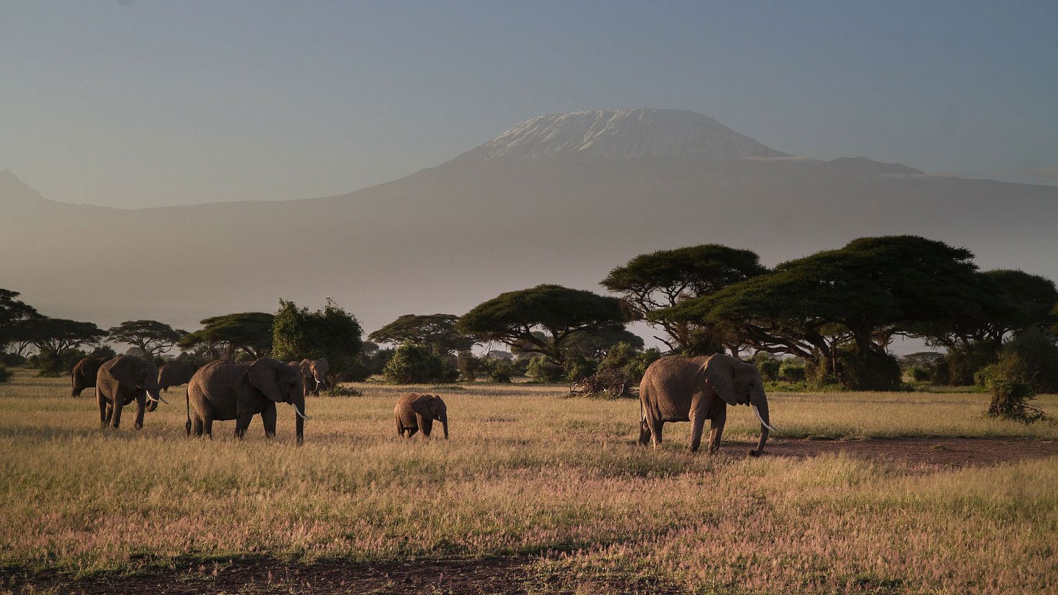 amboseli national park 1 1536x864 1