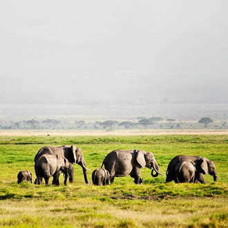 amboseli national park
