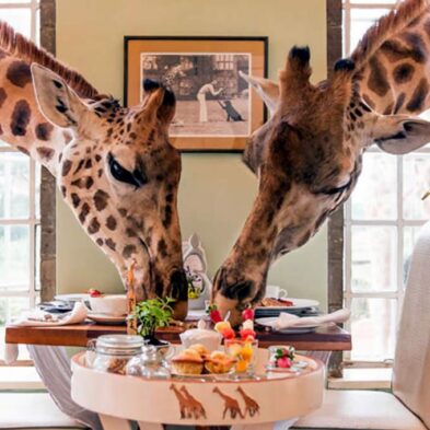 excursion giraffe center nairobi e1776863509706