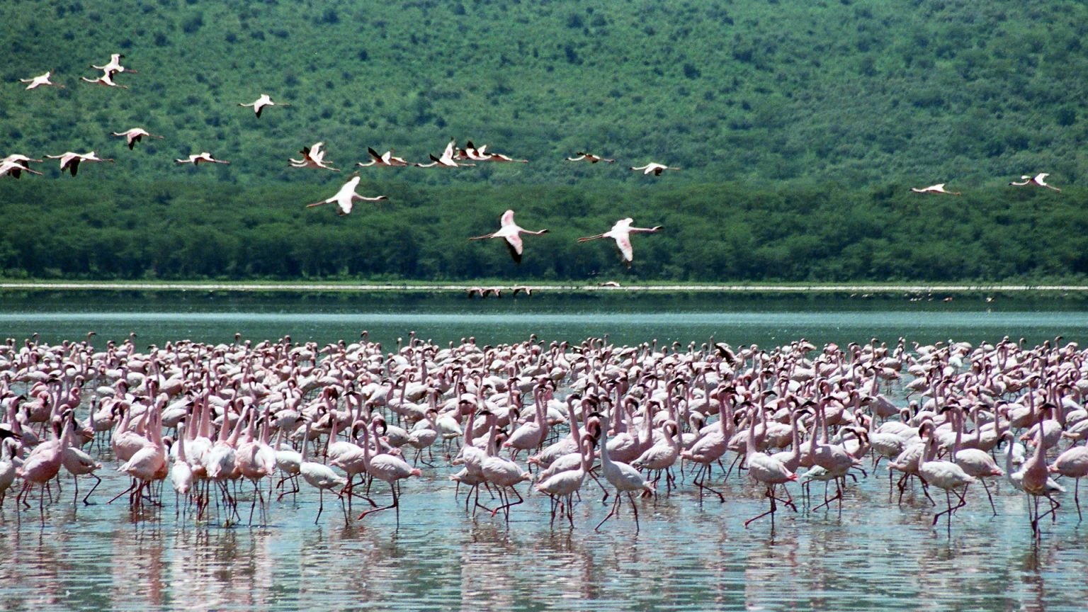 lake nakuru national park4 1536x864 1