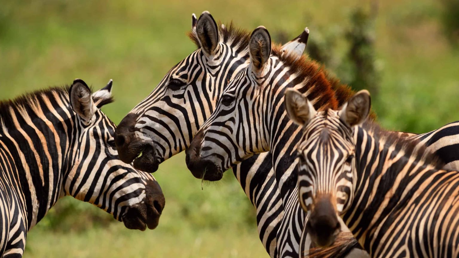 tsavo east national park4 1536x864 1